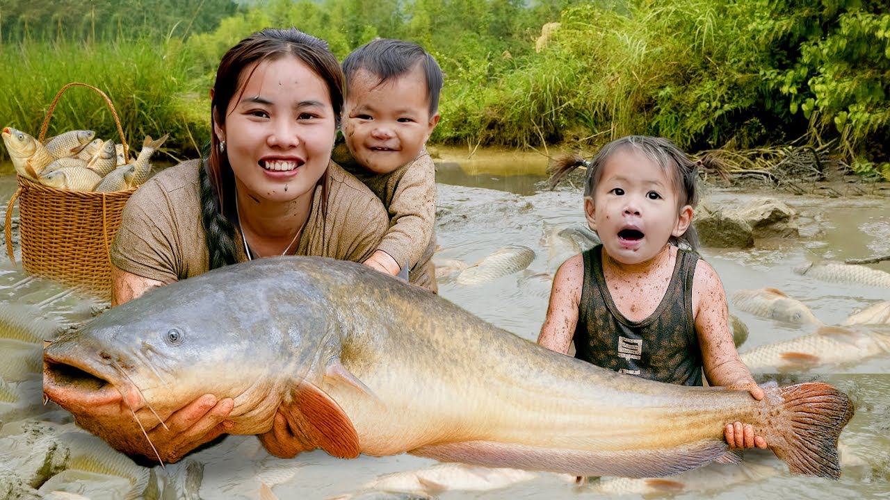 Catching a Huge School of Fish on a Rainy Day – Cooking Fresh Fish with My Children
