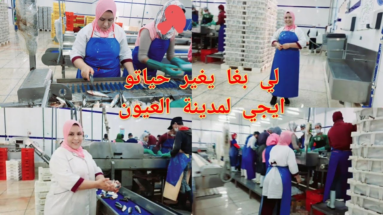 بعض توضيحات مهمة.. ها كفاش دايرة المعيشة في مدينة العيون🤔