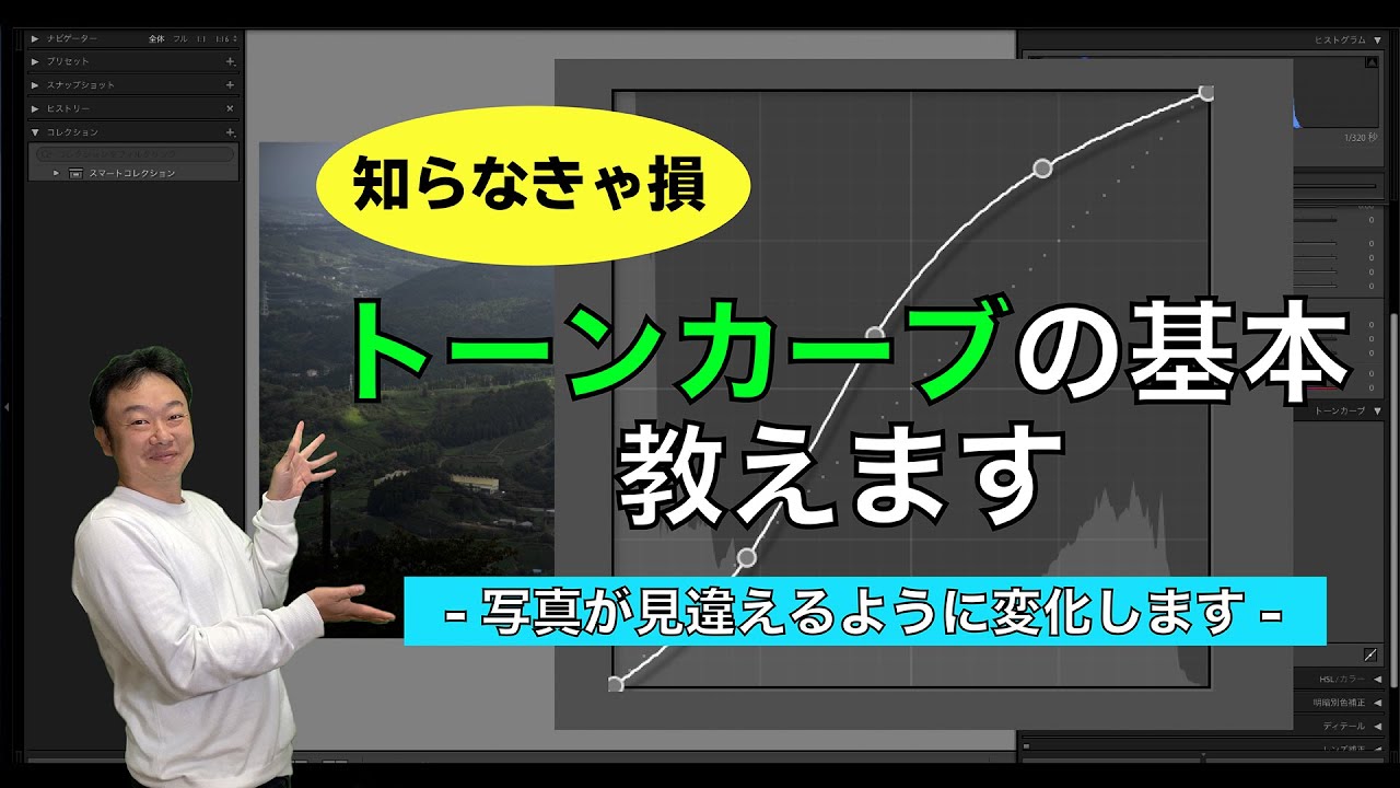 【初心者向】トーンカーブを制するものが画像編集を制する｜トーンカーブの基本的な使い方