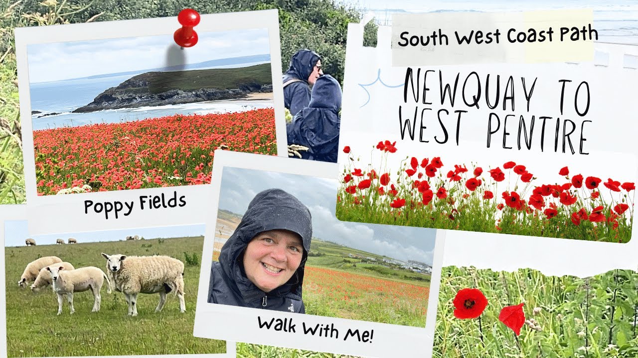 Newquay to West Pentire Walk | Walk to the POPPIES! |South West Coast Path