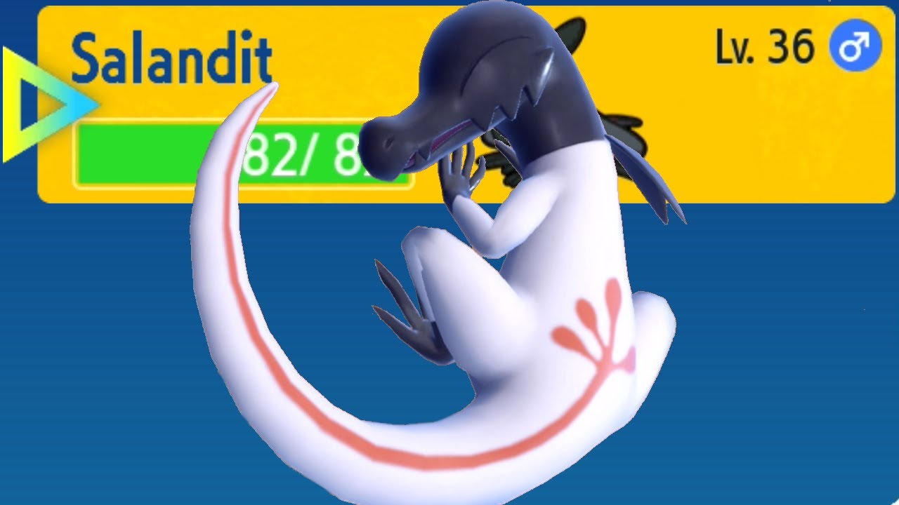 Shiny Salandit but it's a male so it can't evolve.