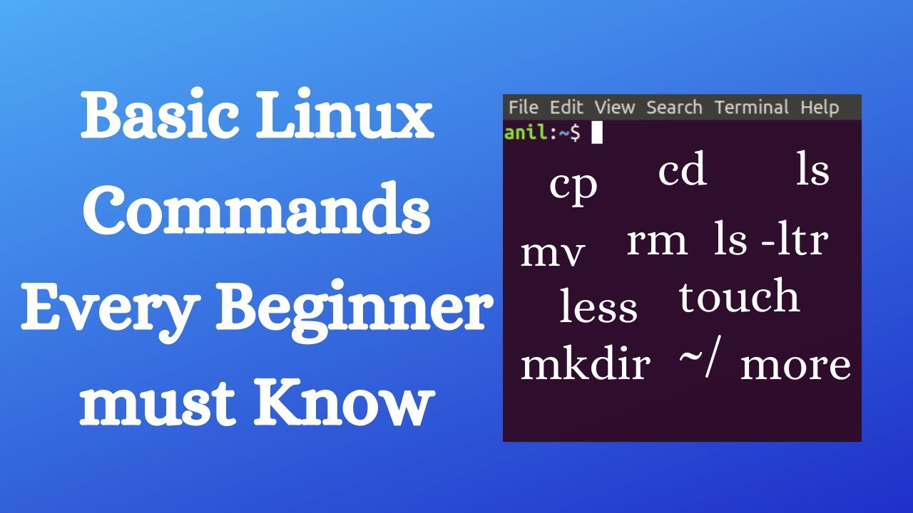 Basic Linux Commands for Beginners