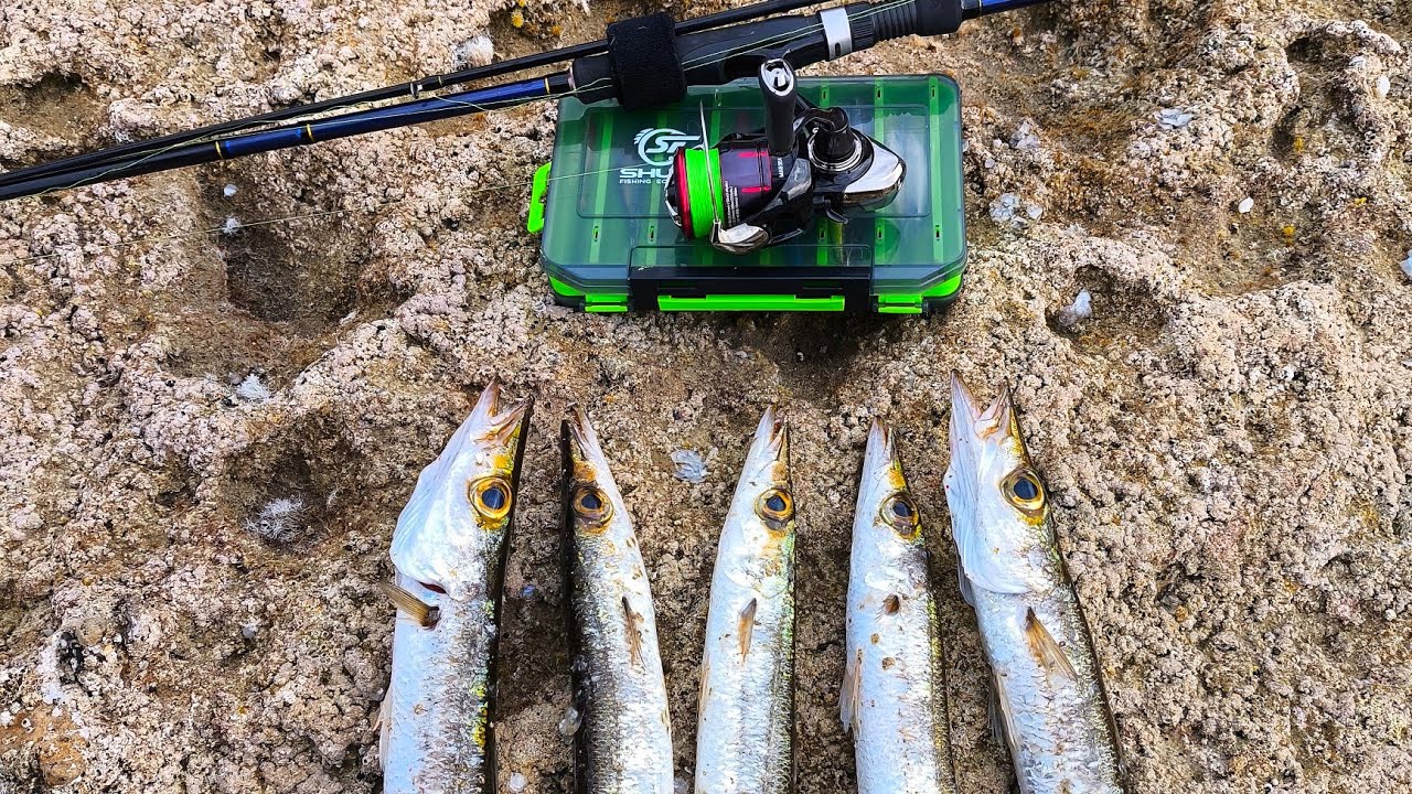AT-ÇEK BALIK AVI . LRF TAKIMIYLA SARI TURNA AVI . DENİZ KENARINDA HUZURLU BİR GÜN . #fishing  #vlog