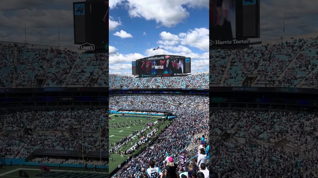 Carolina Panthers Intro 2023 vs Vikings (Defense)