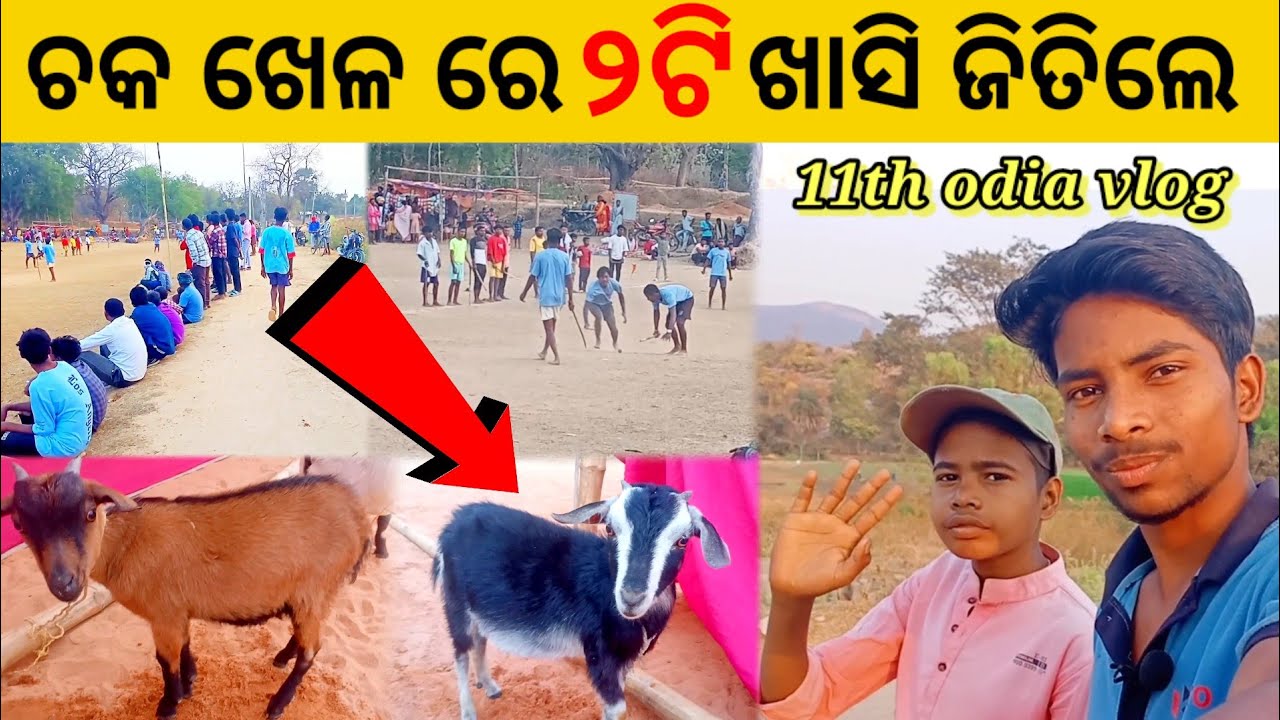 ଆମ ଗାଁରେ ଚକ ଖେଳ 🔥 4ଟି ଖାସି ରଖାଗଲା 😱 | Anandapur Keonjhar Village Vlog | Dipu Odisha #odiavlog 