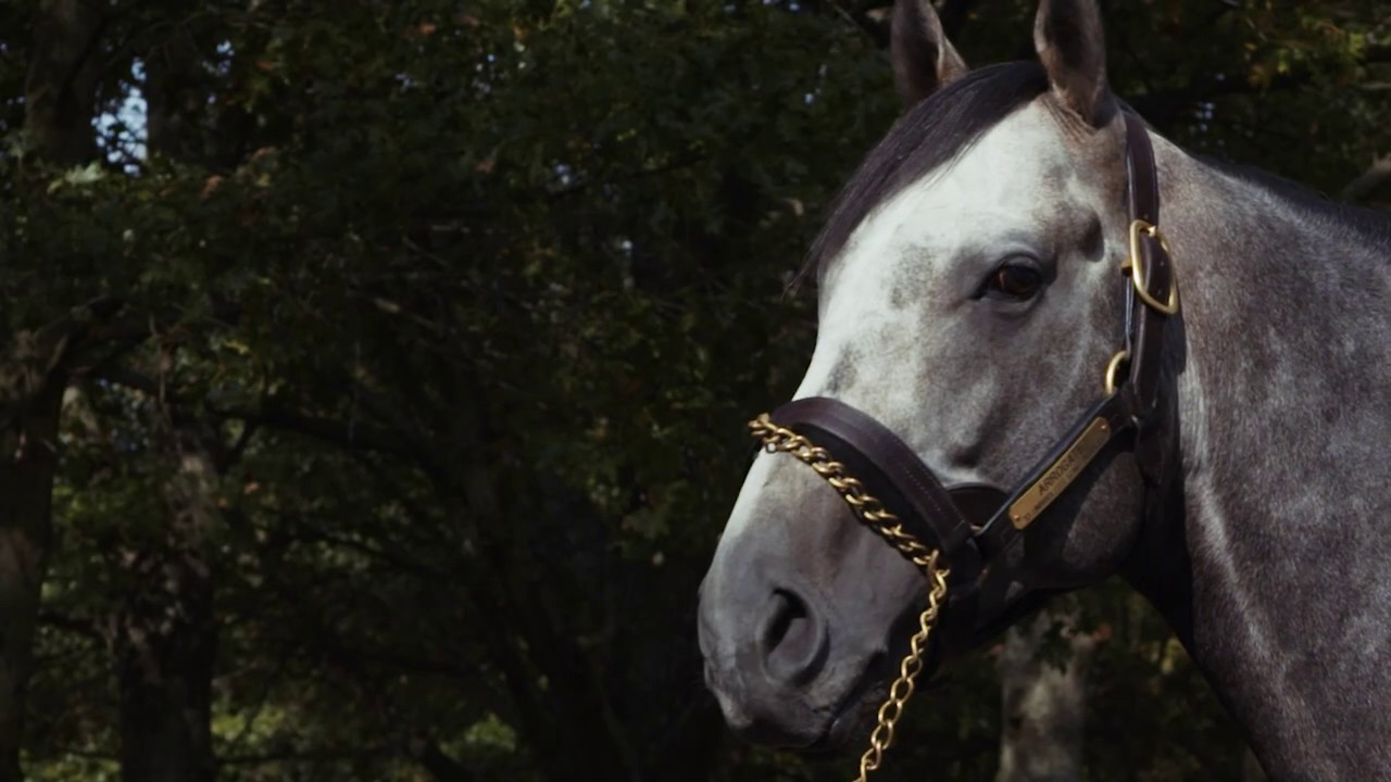 Arrogate tribute