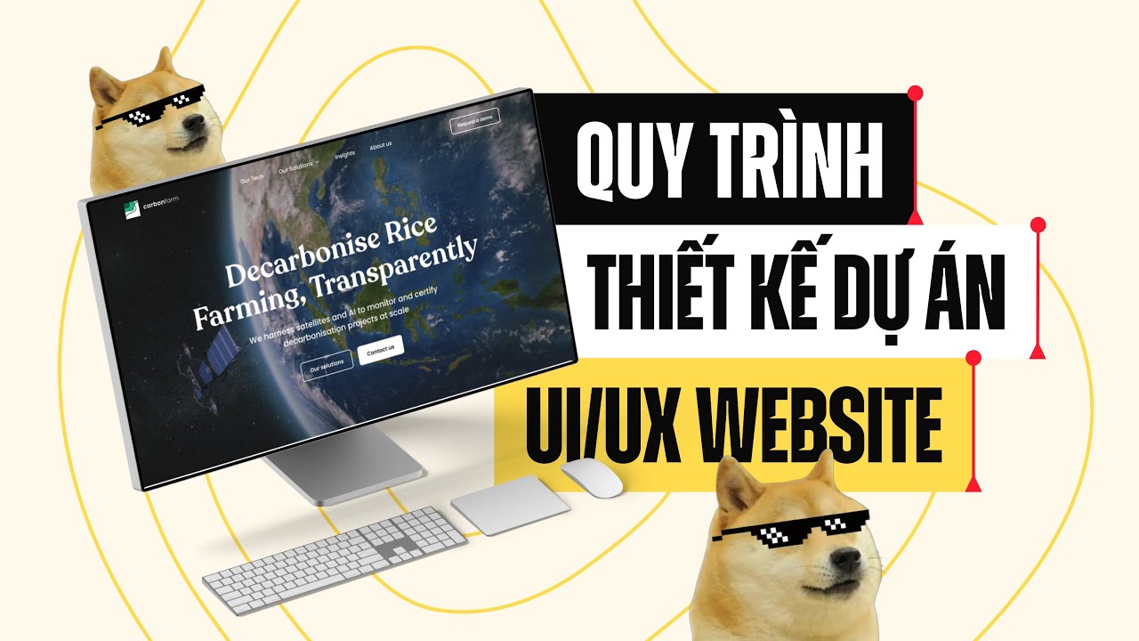 Bạn là người học thiết kế UI/UX? Video này dành riêng cho bạn