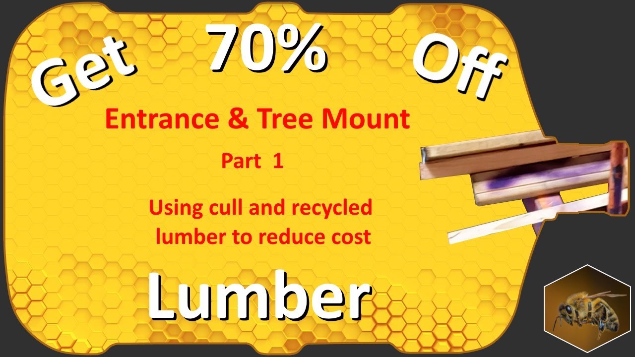 Discounted Lumber | Bottle Beehive Entrance and Tree Mount | Part 1