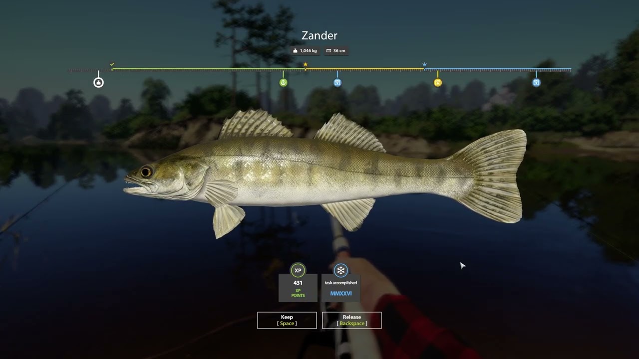 Russian Fishing 4 | Stage 4 Task 1 &ndash; Catching Zander on Winding Rivulet | No Talking