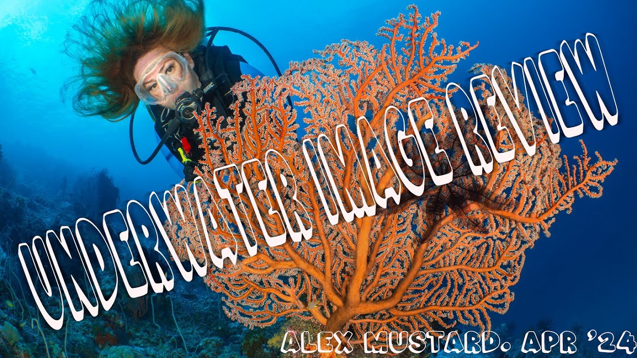 Underwater Image Review. Alex Mustard. April 2024
