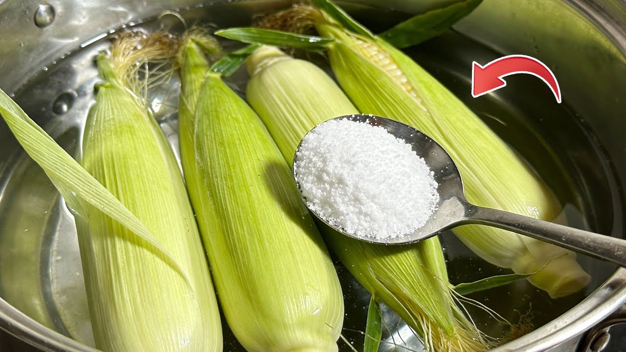 ¡NO hiervas el maíz con agua! 🌽 El secreto que usan los chefs