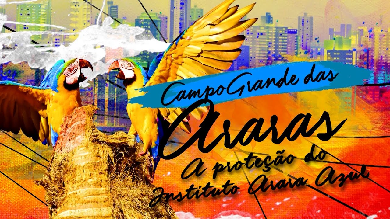 Campo Grande das Araras - A Proteção do Instituto Arara Azul
