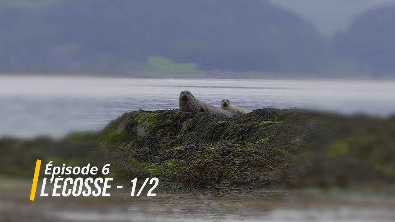 Épisode 6 : l'Écosse 1/2
