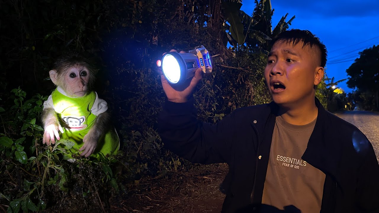 Cubis is still missing! Will Dad rescue before the storm? 😨