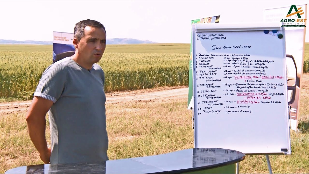 Fertilizarea grâului: Rețeta specialiștilor Agro-Est Muntenia
