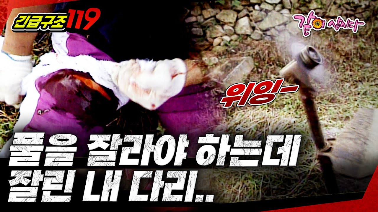 [긴급구조119] 풀이 아닌 내 다리를 잘라버린 건에 대하여....ㅣ누렁이와 예초기ㅣKBS 1998.09.09