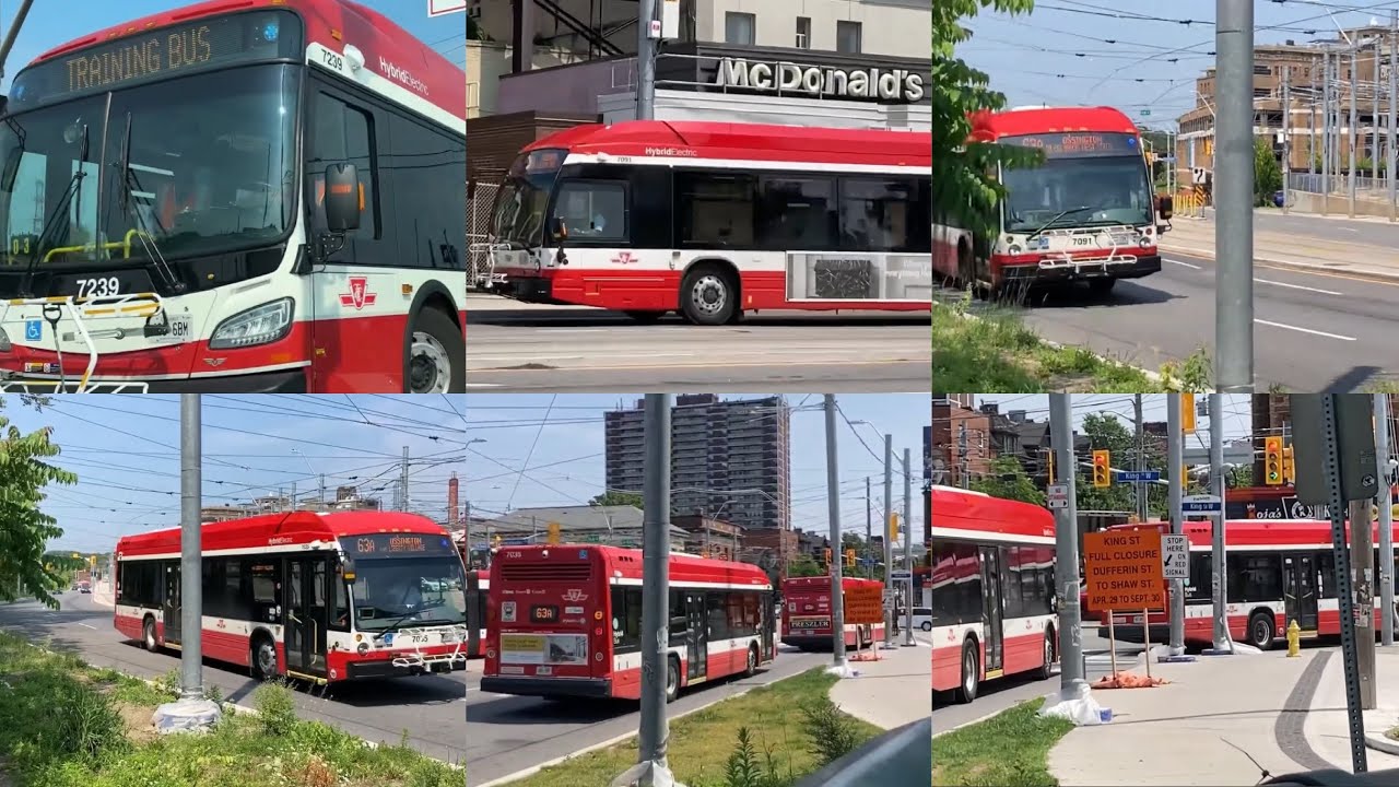 TTC Toronto 7239 (Training Bus) 7035 7091 June 2024