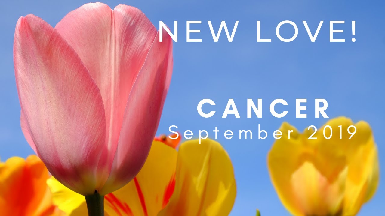 CANCER: New Love! September 2019