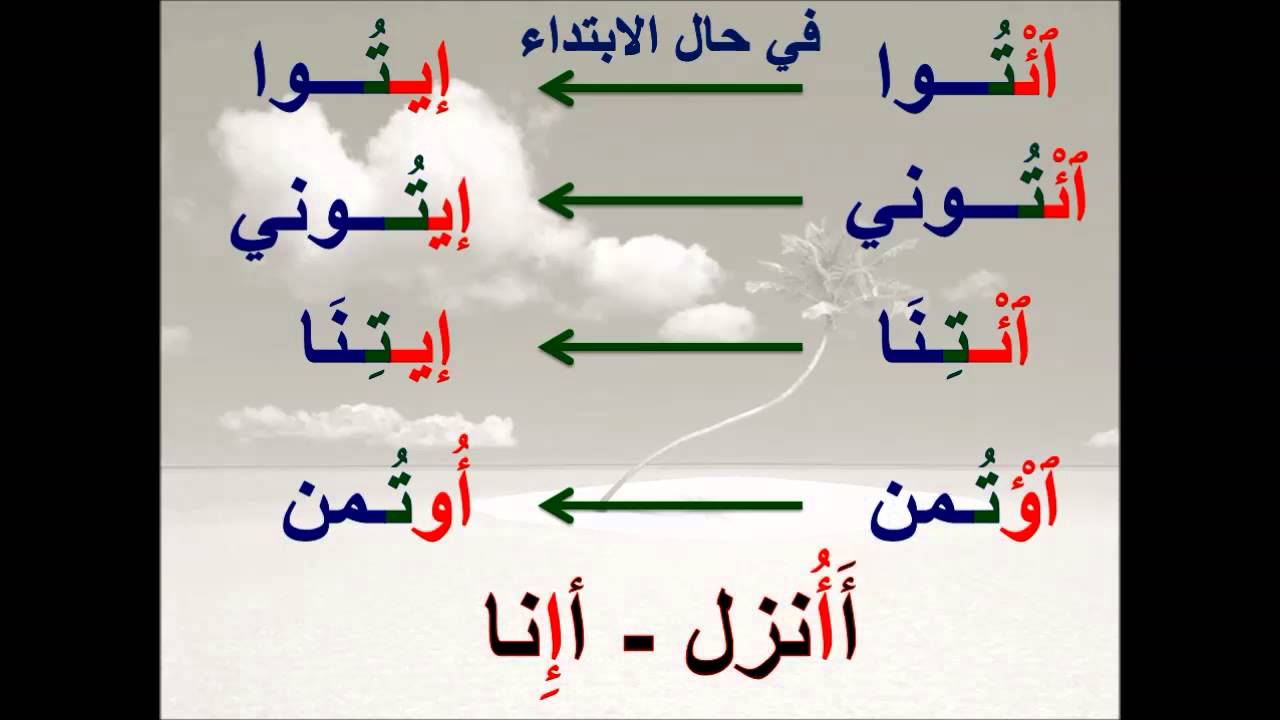 الحلقة الثالثة والعشرون - لقراءة صحيحة في تلاوة كتاب الله