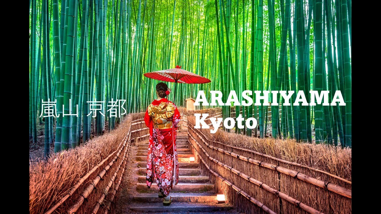 Arashiyama Bamboo Forest Japan | One Day Trip Walking Tour & Access to Kyoto