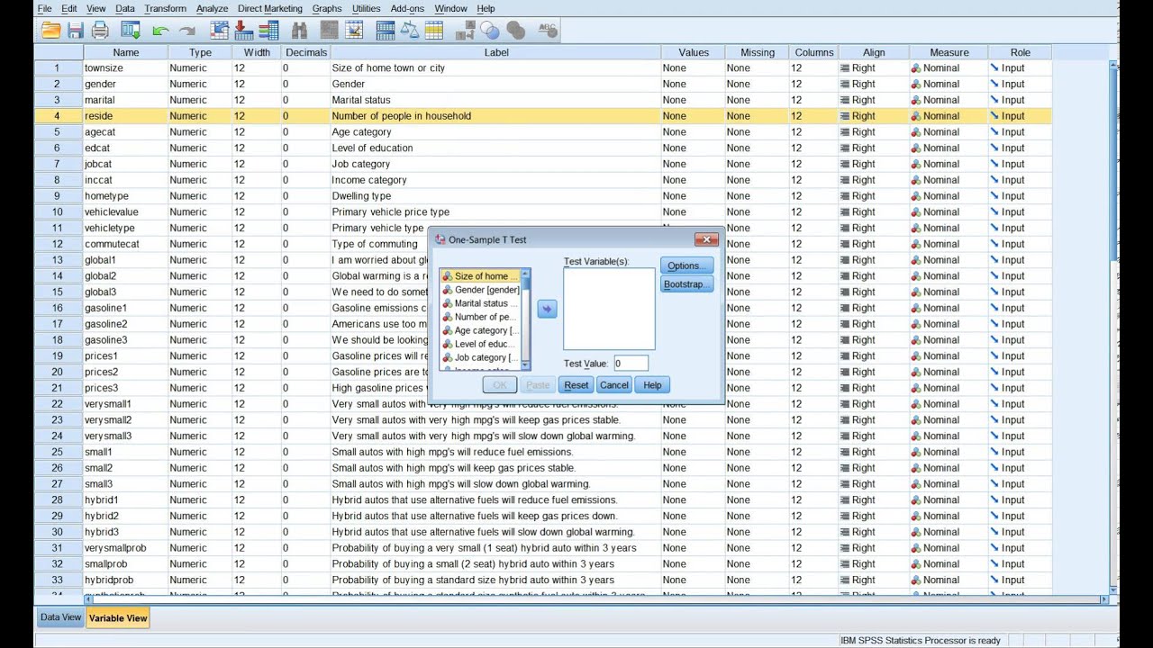 SPSS Hypothesis test (One-sample T Test)