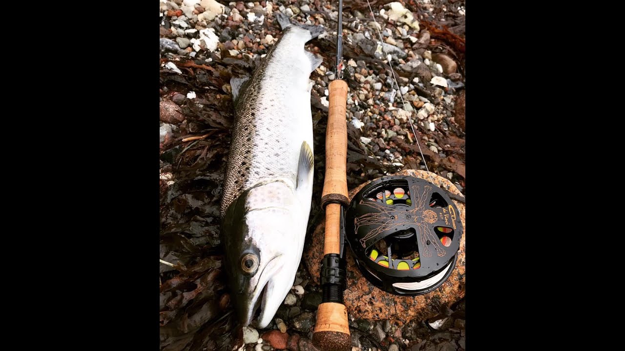 Test af A. Jensen skydehoved Delayed Turnover og A. Jensen Spook Seatrout