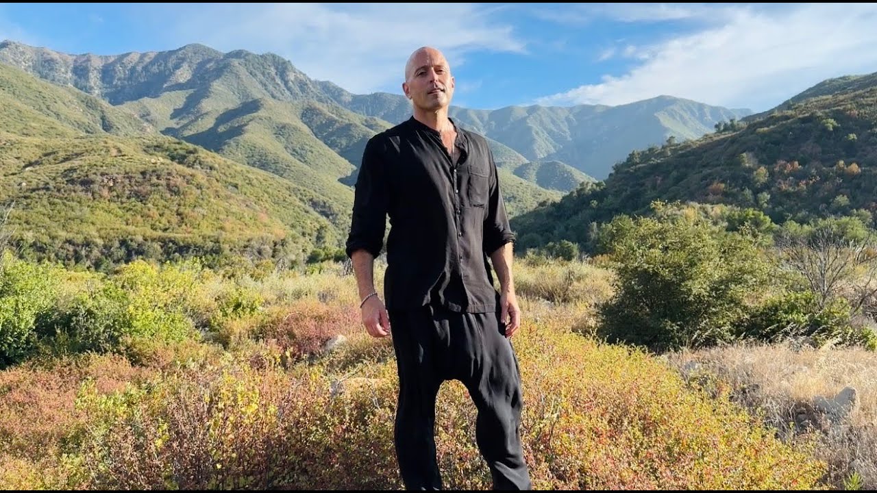 I Call Back My Power 2.0 (Full Video) - Lee Harris, Davor Bozic & John Pattern