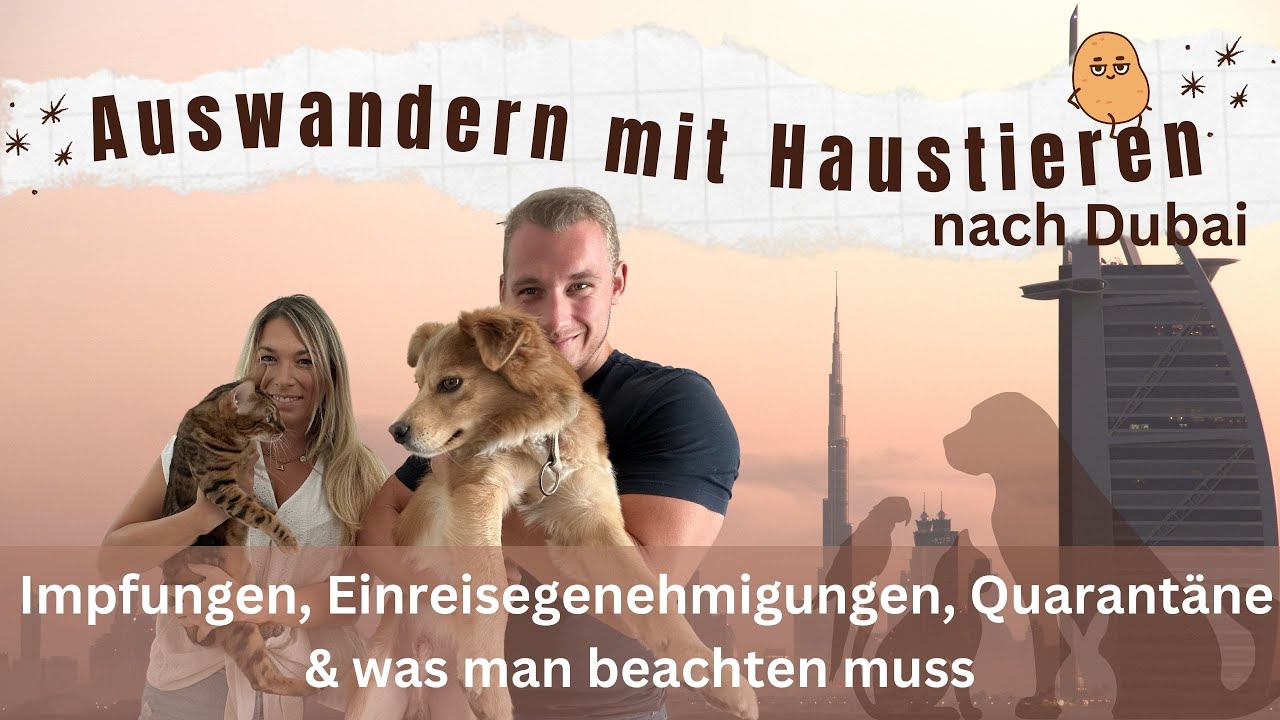 AUSWANDERN MIT HAUSTIEREN NACH DUBAI - IMPFUNGEN, QUARANTÄNE, EINREISEGENEHMIGUNG UVM.