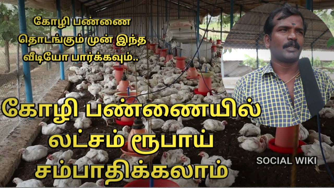 கோழி வளர்த்து கொடுத்து மாதம் ஒரு லட்சம் எடுக்கலாம் |Tamil Biusiness | Social Wiki