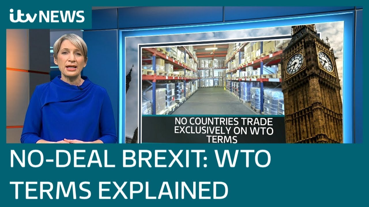 Brexit: What does leaving on WTO rules mean? | ITV News