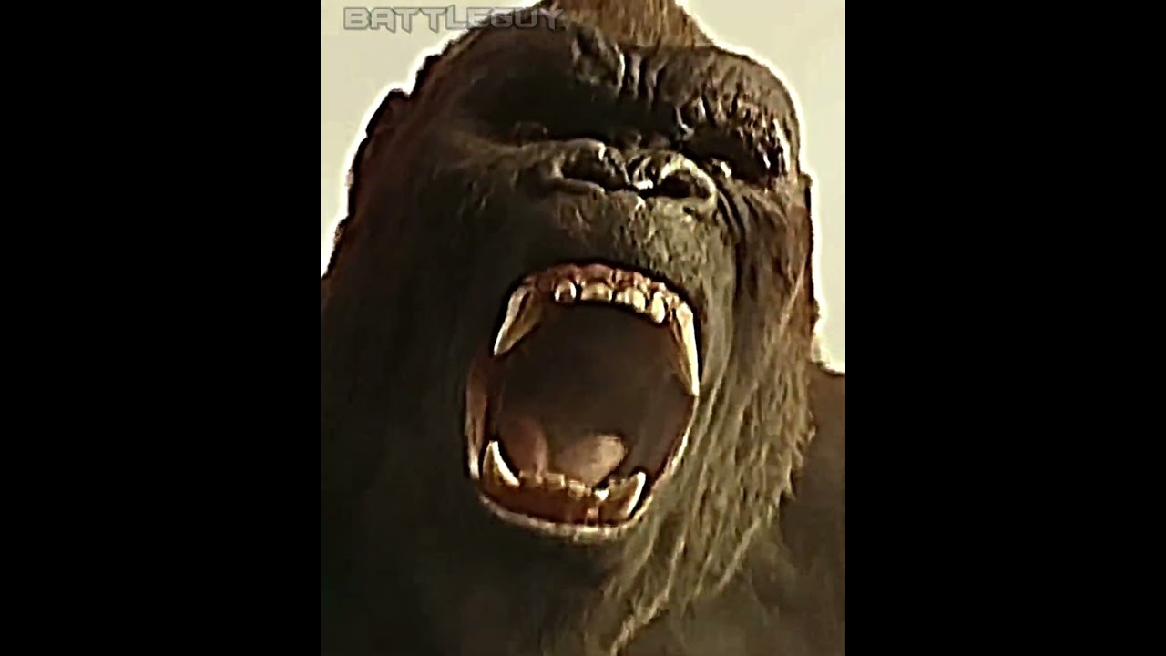 Kong vs Megalodon | 