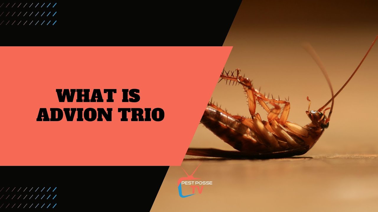 What is Advion Trio?