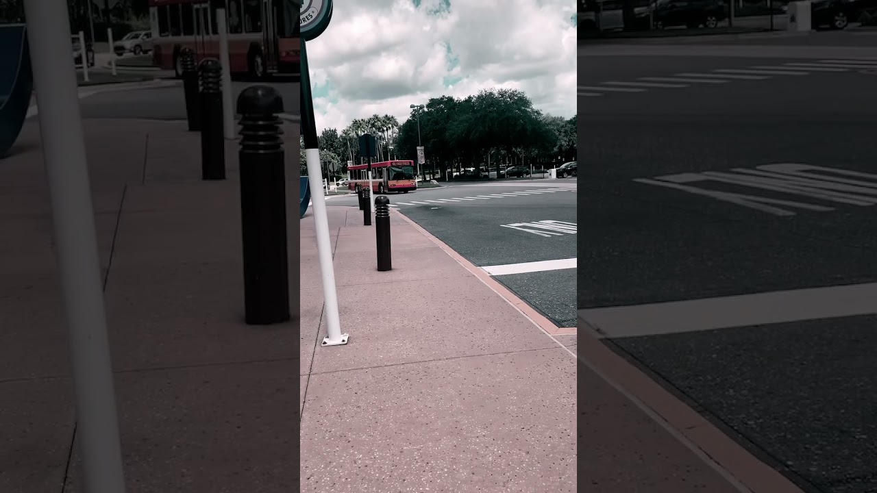 Disney bus