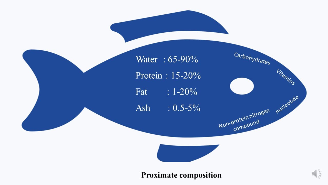 Fish Compositions : From which components fishes are made ?...