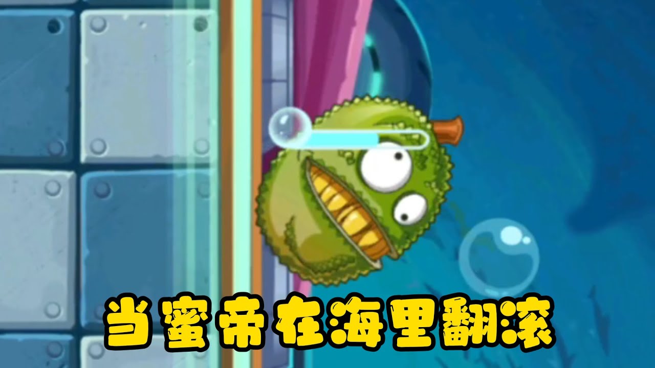 当蜜帝能在海里滚动，会发生哪些现象？
