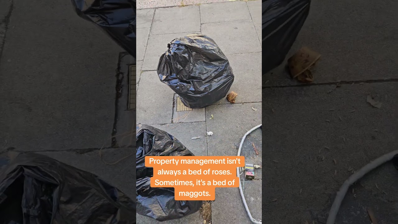 I cannot describe the stench that greeted me this morning.   #airbnb #London #maggot #propmanagement