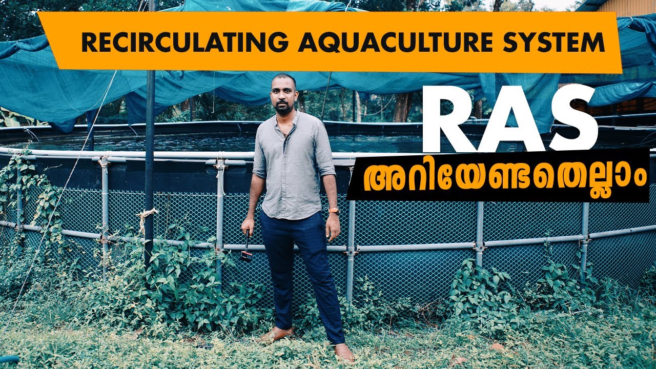 Recirculating aquaculture system I RAS @ Rosen Fisheries