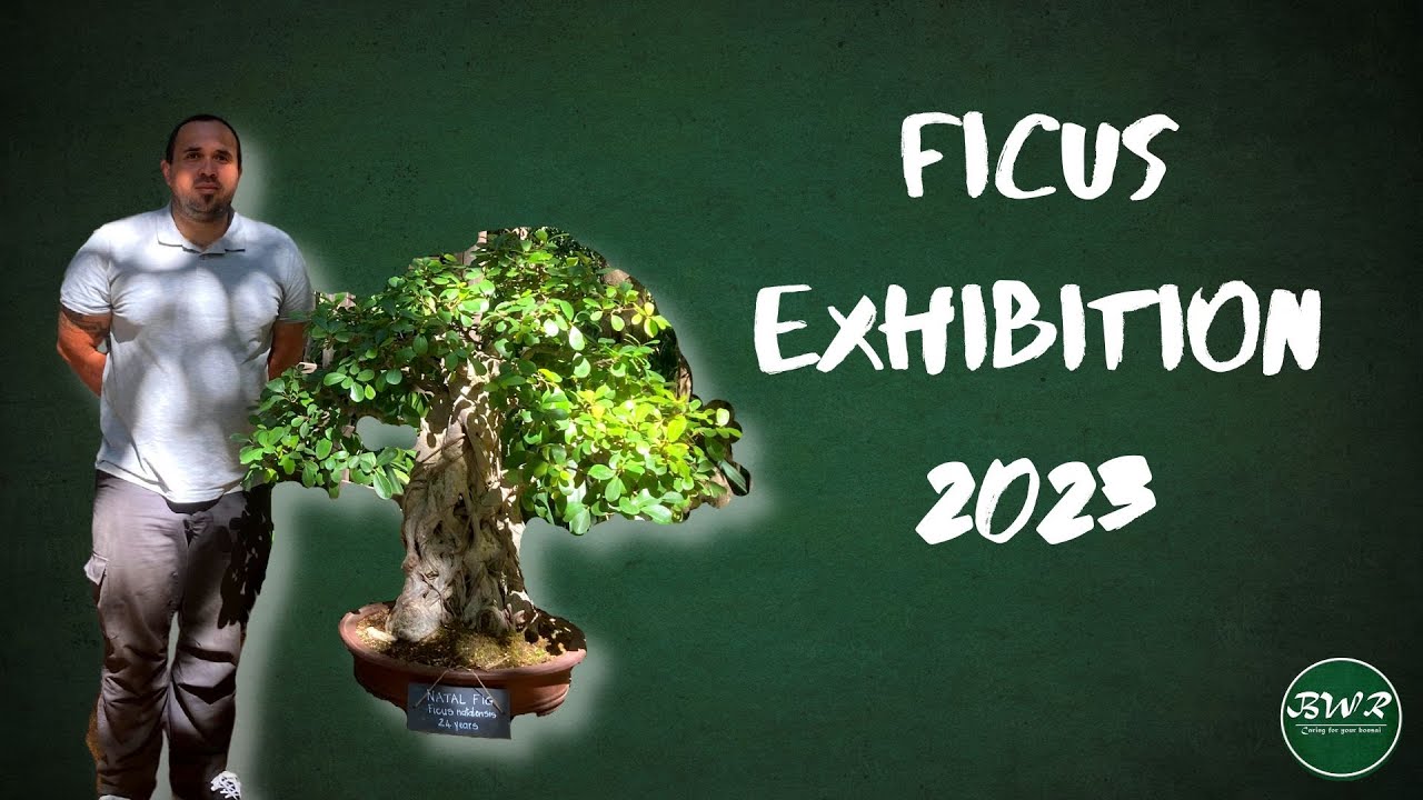 Ficus Exhibition Babylonstoren 2023