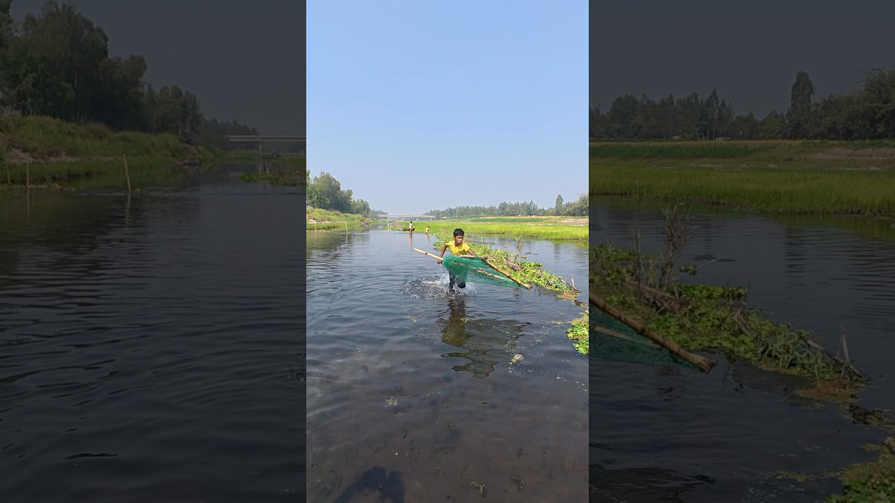 Small Boys Catching Fish in River #fishing #river #handfish