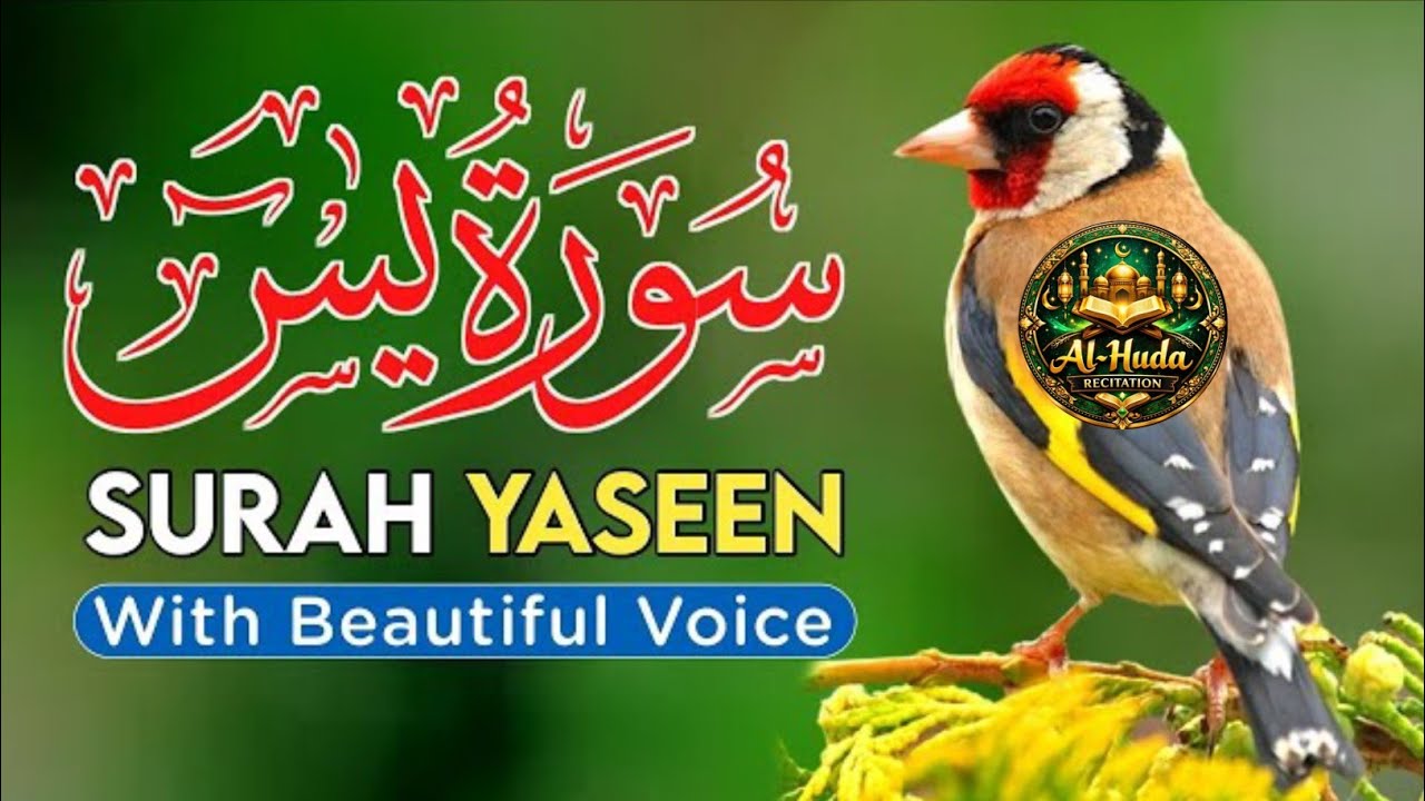 Surah Yaseen Full | Beautiful Quran Recitation | Surah Yasin Relaxing Tilawat