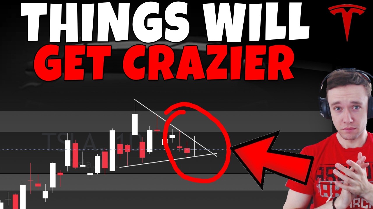 Stock Technical Analysis on TSLA, SPCX, PLTR, HOOD, MU, IREN, NBIS, BTC