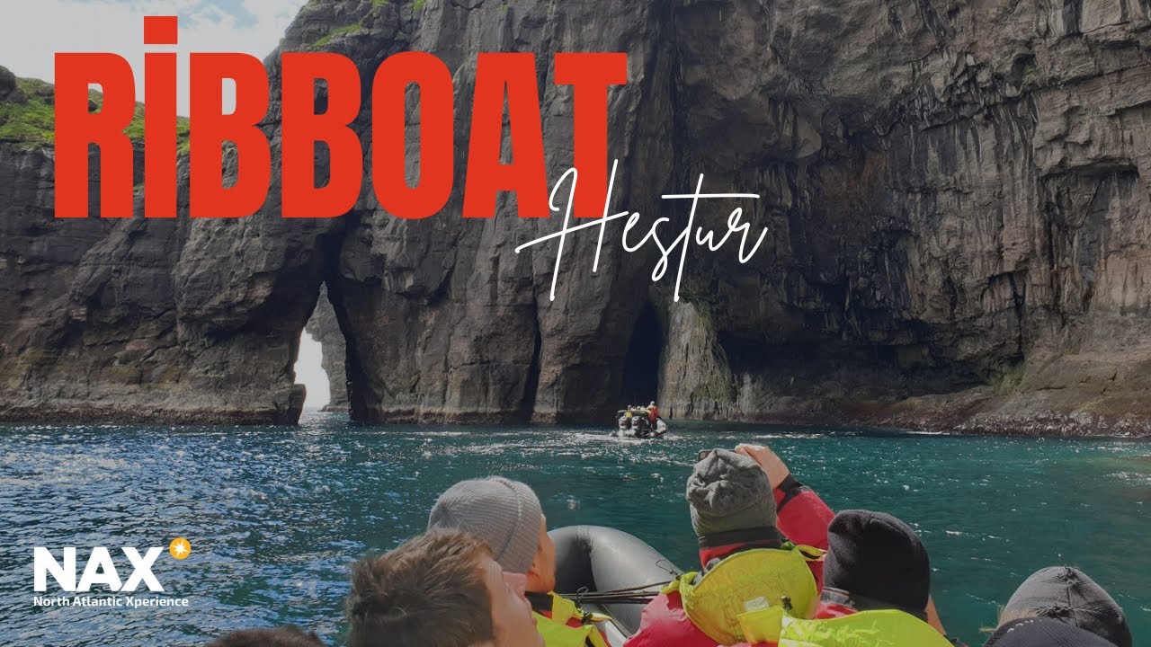 NAX - Ribboat Hestur