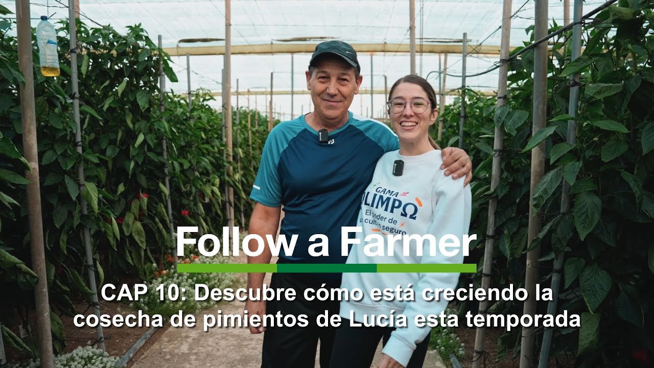 Un día en la finca de Lucía: revisando pimientos, variedades y cuidados #FollowAFarmer Spain S1:E10