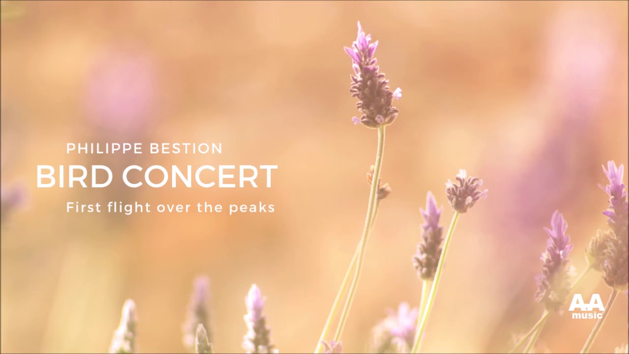 Philippe Bestion - Bird Concert