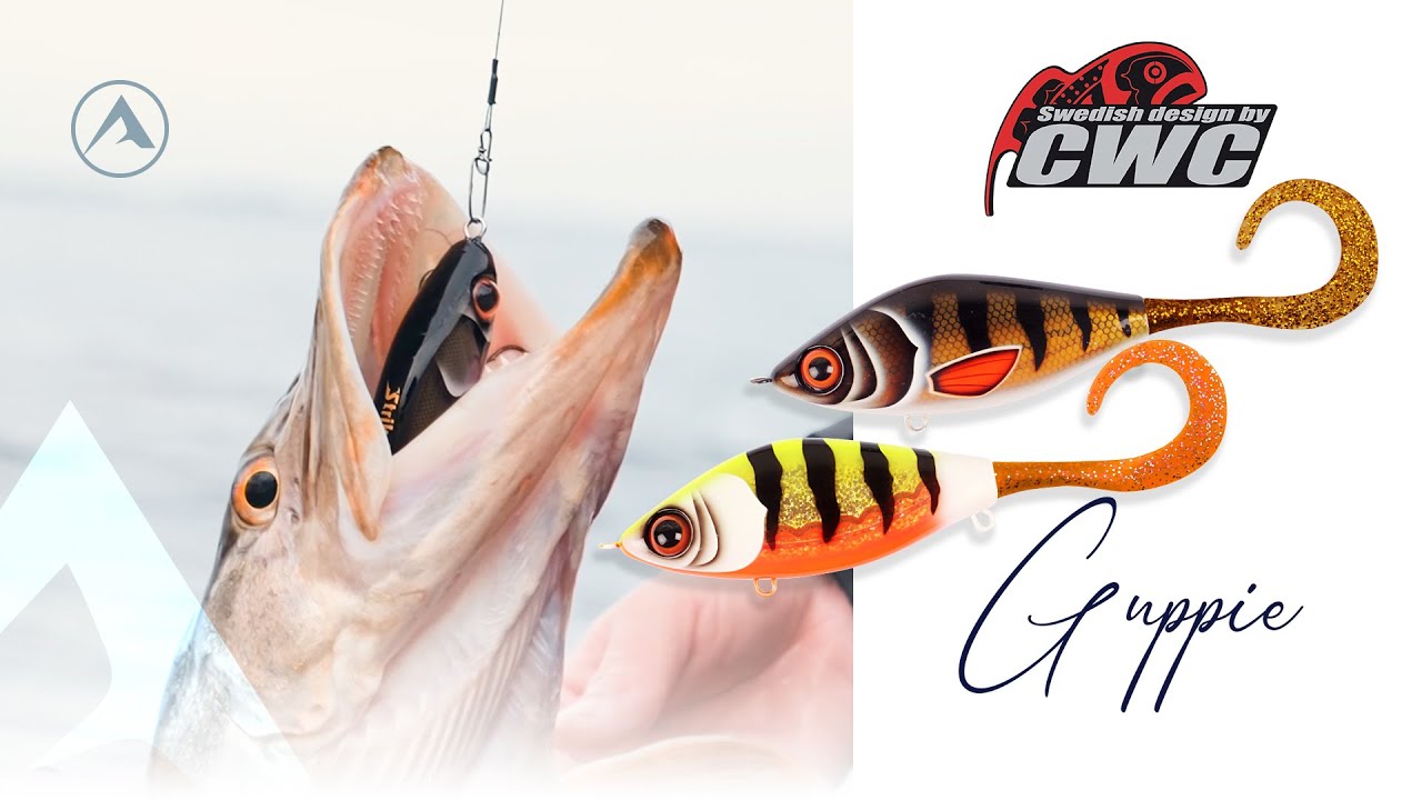 STRIKE PRO GUPPIE : Un excellent leurre à BROCHETS présenté par Pierre Monjarret