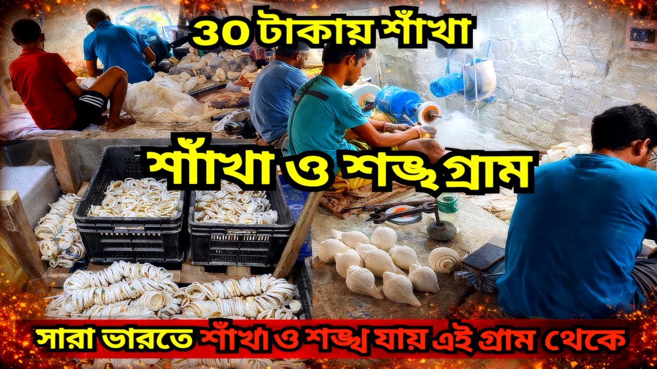 সরাসরি কারখানা থেকে শাঁখা ও শঙ্খ কিনে ব্যবসা করুন || সবচেয়ে বড় শাঁখা ও শঙ্খ মার্কেট || CONCH SHELL
