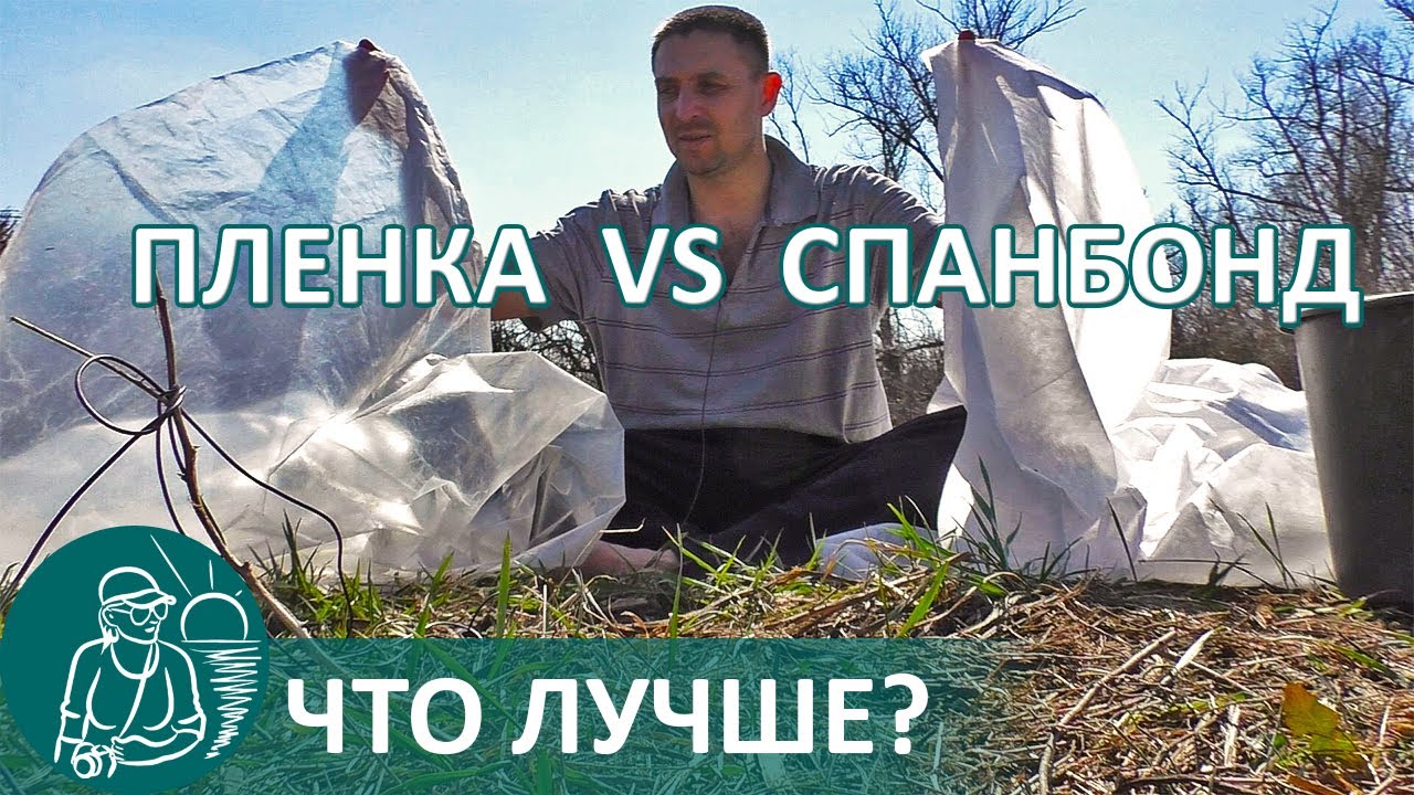 Выращивание рассады 🌿 Что лучше: спанбонд или пленка для парников по технологии Гордеевых