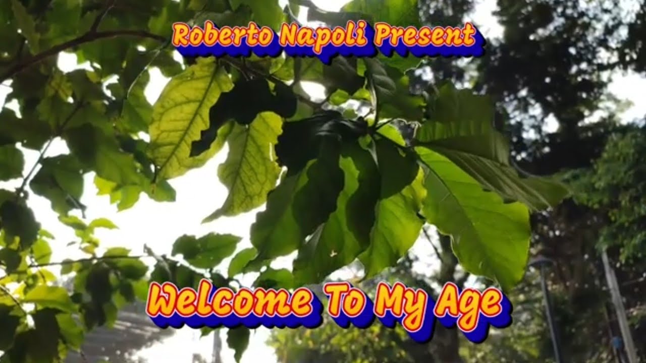 Roberto Napoli - Welcome To My Age