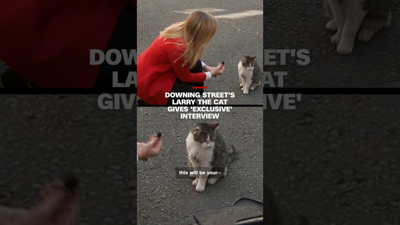 Downing Street's Larry the Cat gives 'exclusive' interview