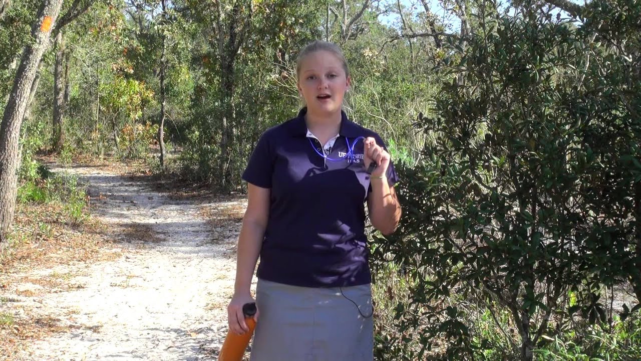 Tips for Hiking in Central Florida, part 1